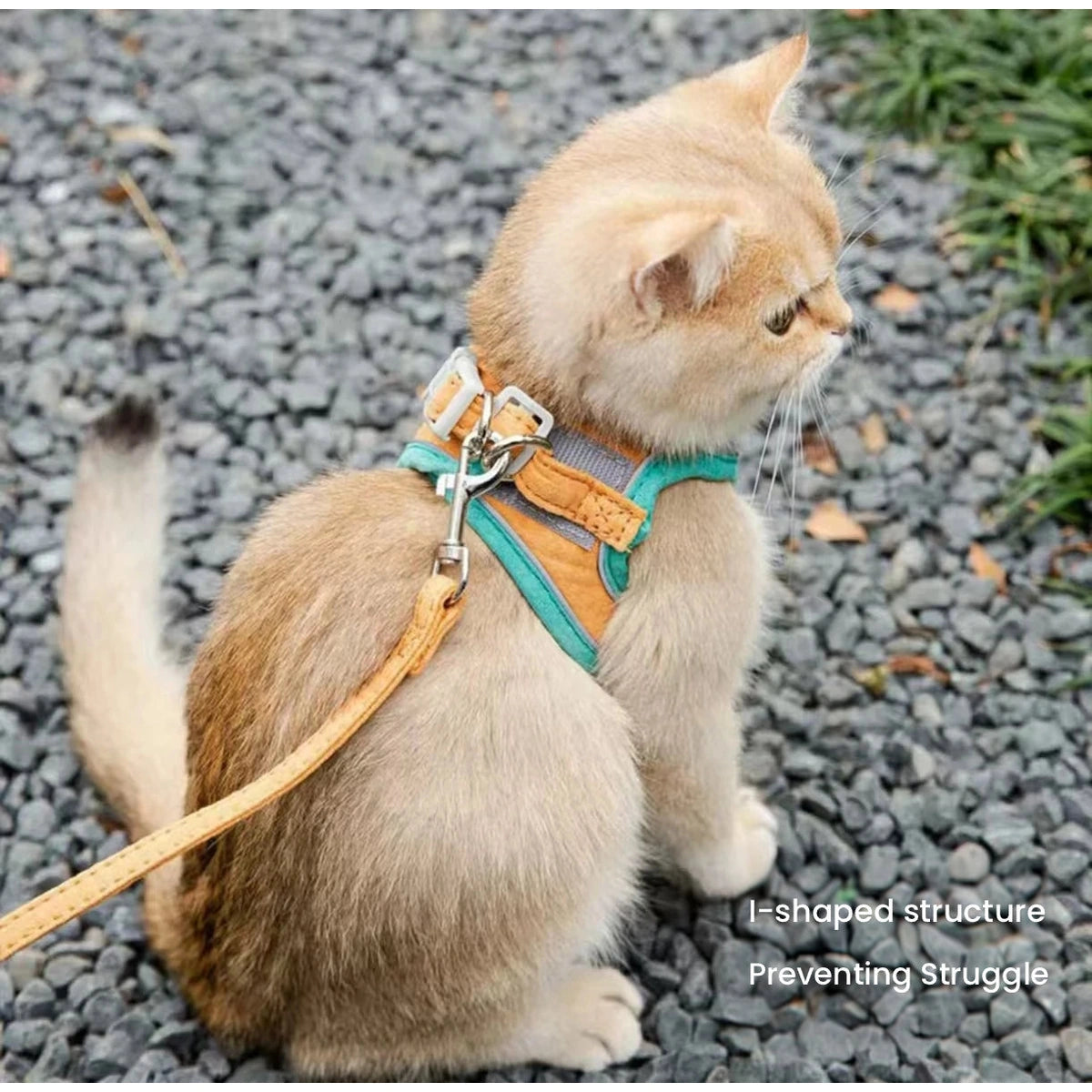 야외에서 반사 하네스를 착용한 고양이