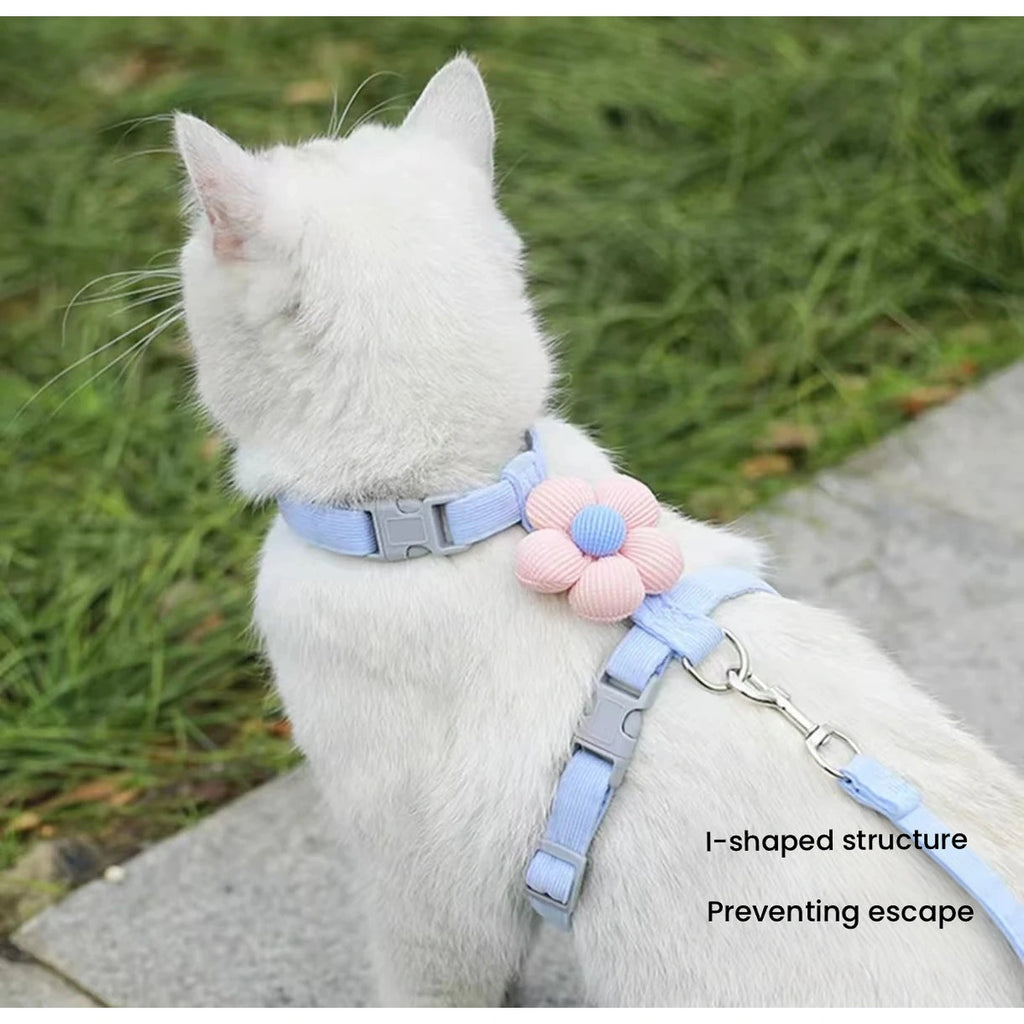 White cat wearing blue flower harness