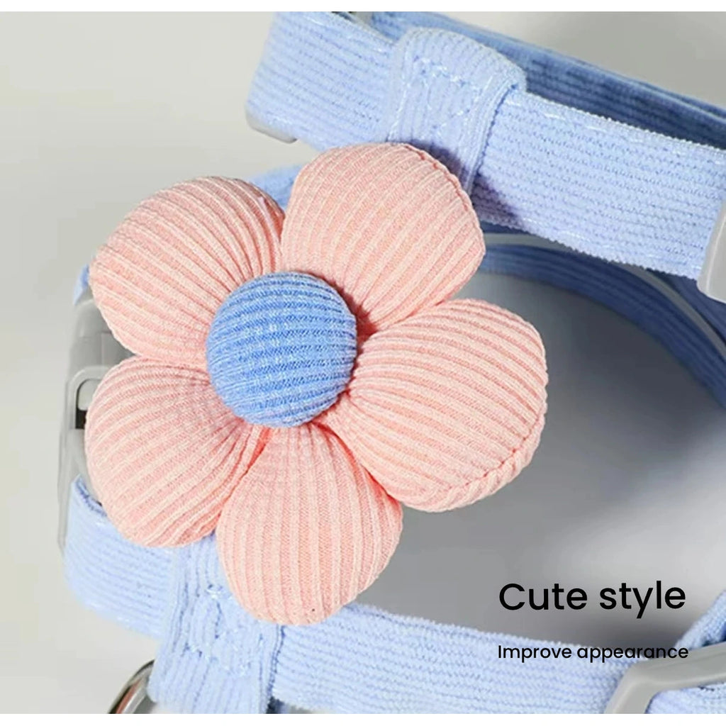 Close-up of pink flower on blue cat harness