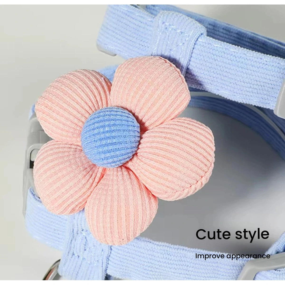 Close-up of pink flower on blue cat harness