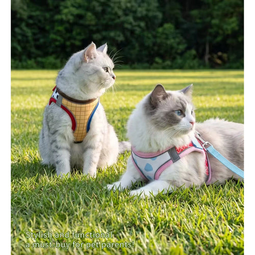 カラフルなストラップハーネスをつけた2匹の猫