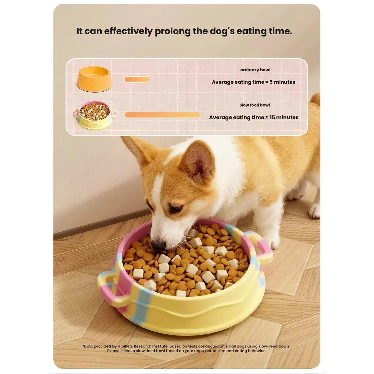 Dog eating from a filled multicolour slow feeder bowl