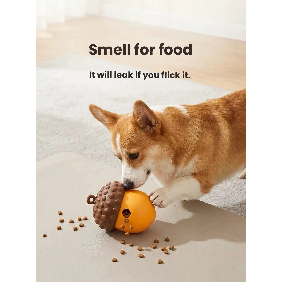 Small dog sniffing brown acorn treat toy