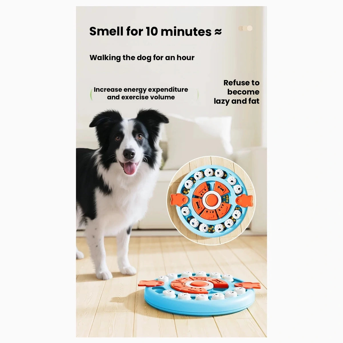 Dog next to a blue treat puzzle on the floor