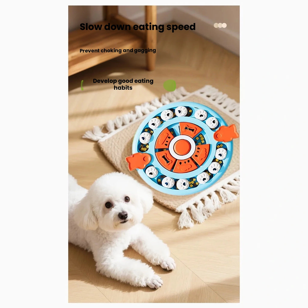 Small white dog beside blue circular treat toy