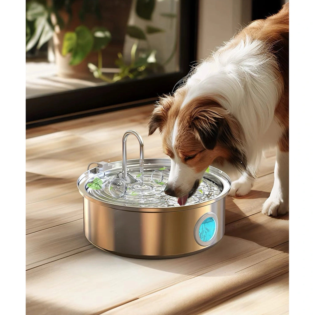 Dog drinking from stainless steel water fountain