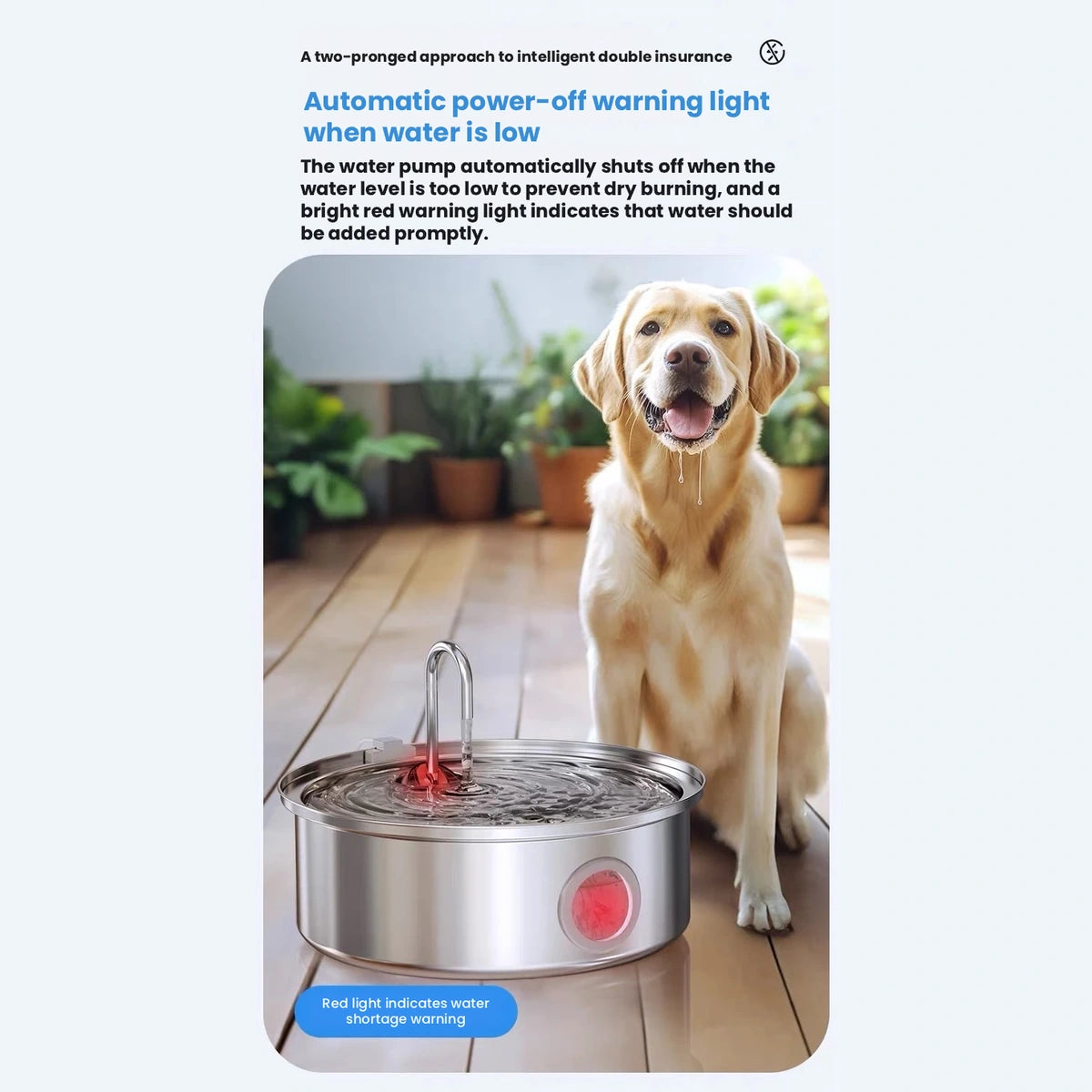 Large dog next to circulating water fountain