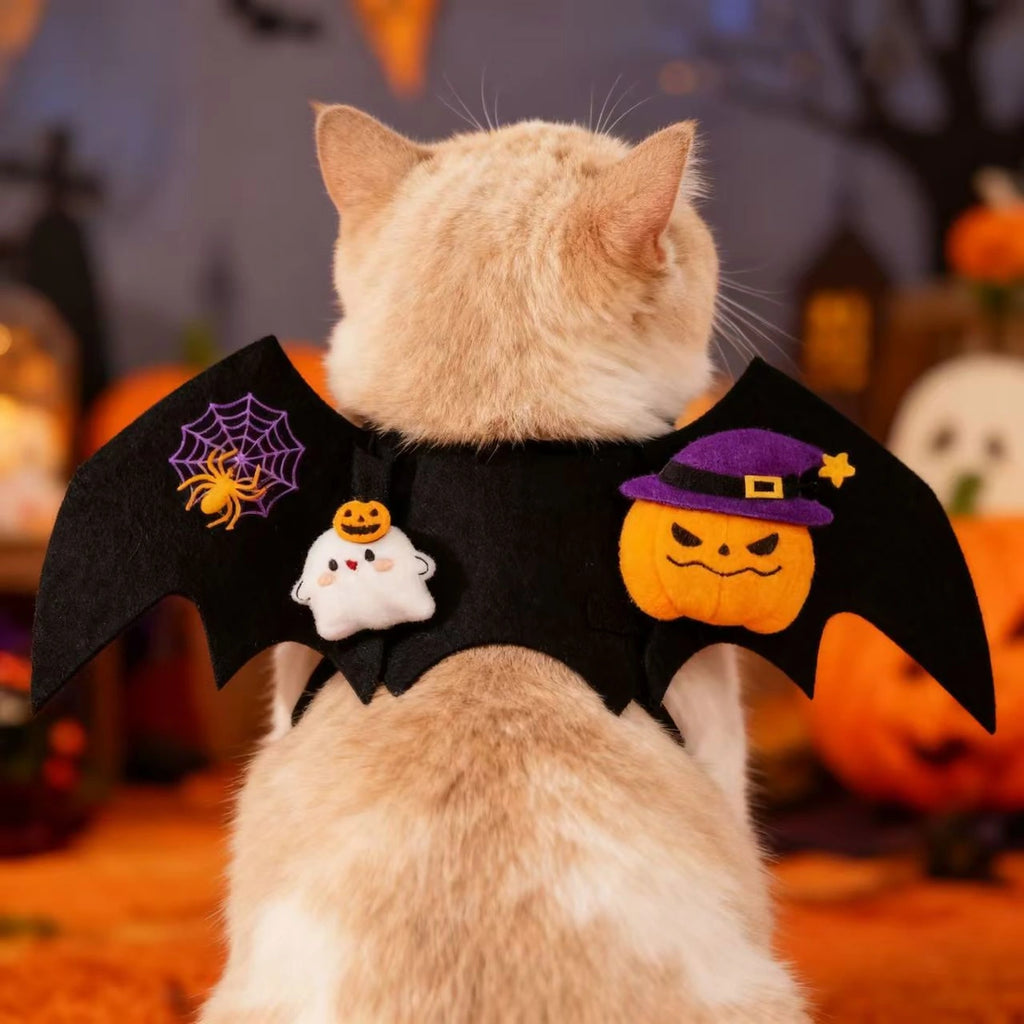 Rear view of cat wearing bat-wing pet costume