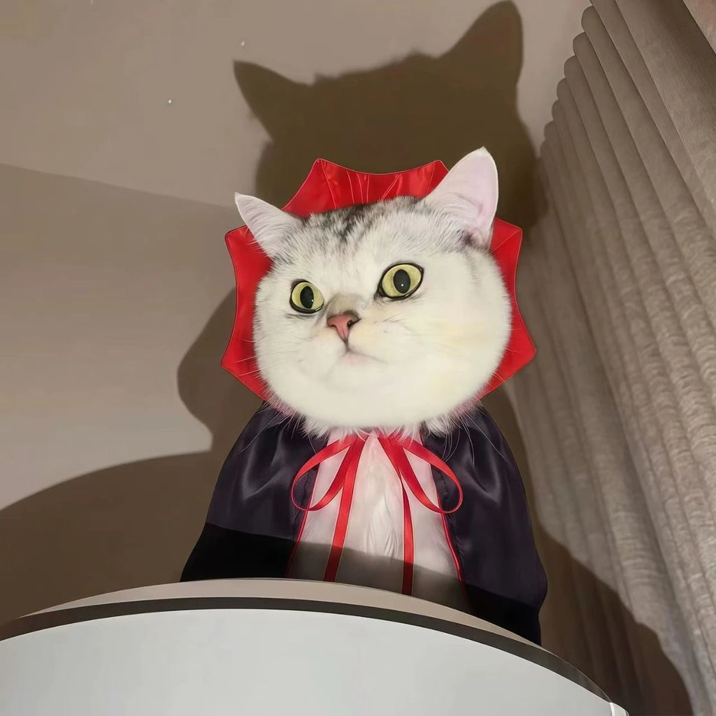 Cat wearing vampire cape while seated