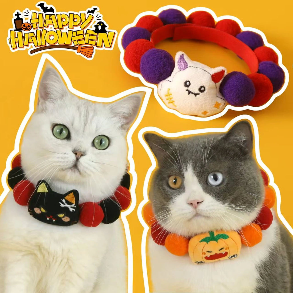 Two cats wearing pumpkin-themed pet collars