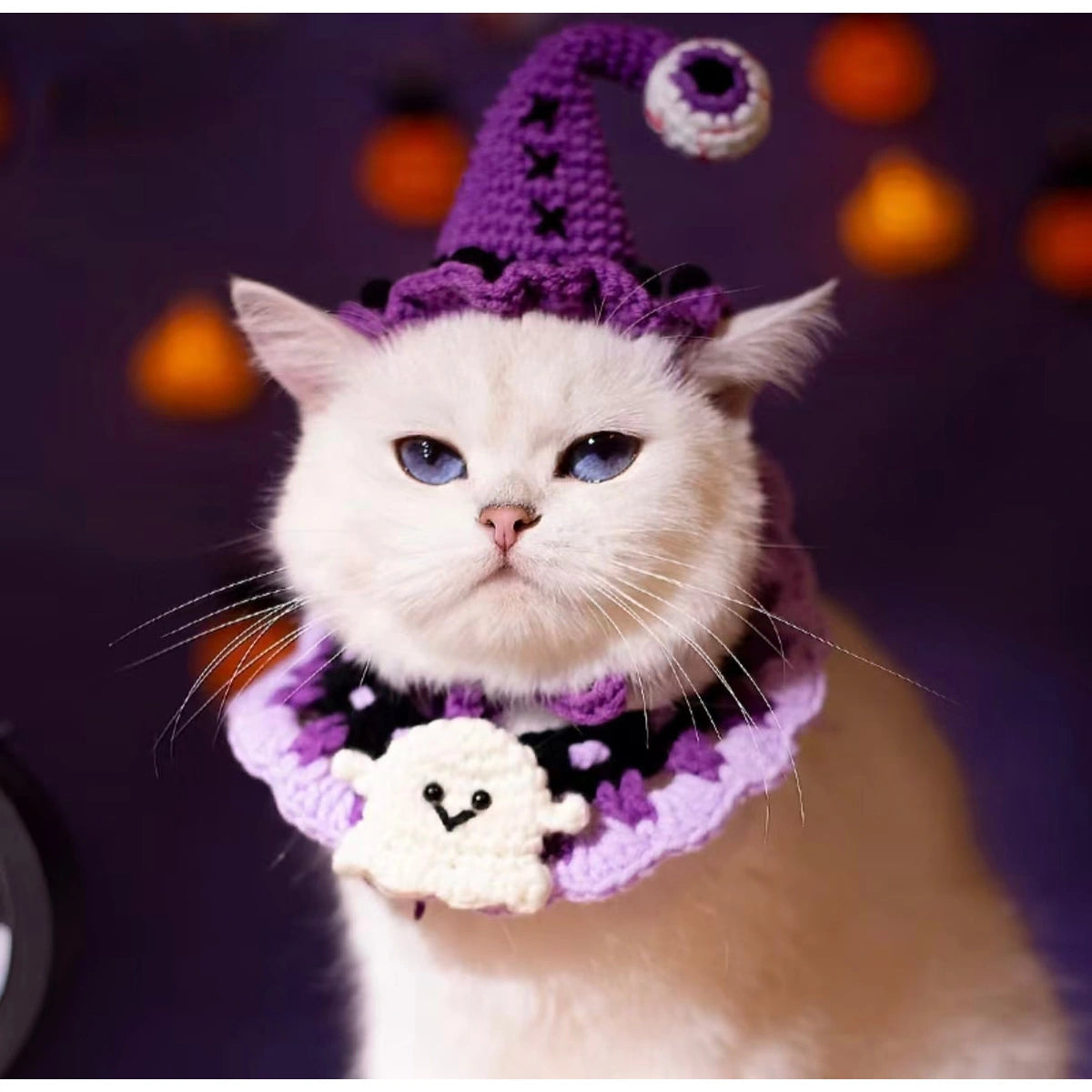Close view of white cat in purple Halloween accessories