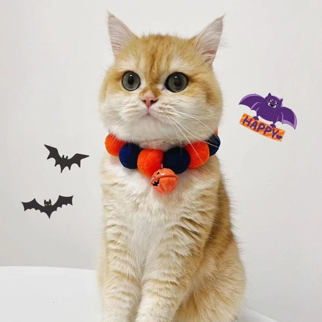 Close view of cat wearing pumpkin pom-pom collar