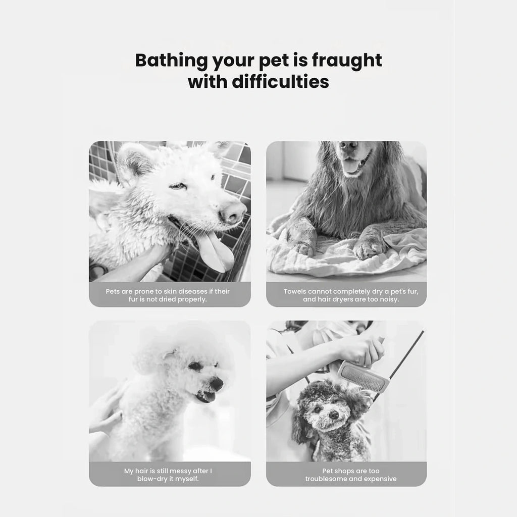 Dogs pictured before grooming with dryer brush
