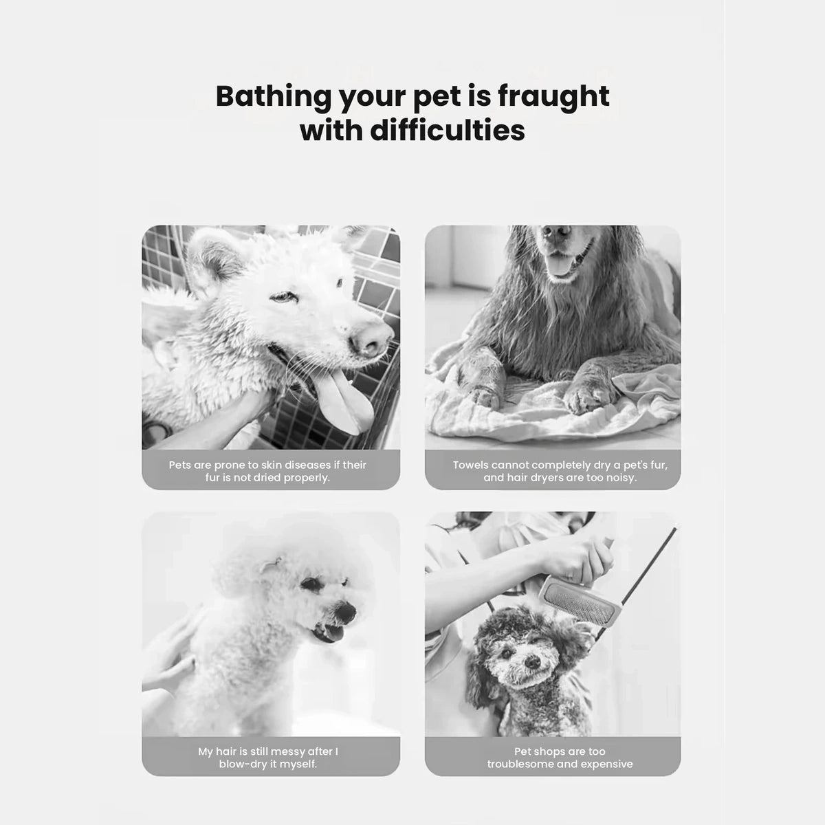 Dogs pictured before grooming with dryer brush