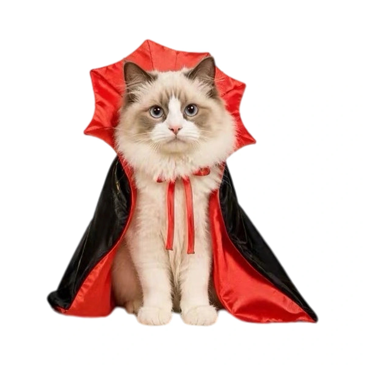 赤と黒のヴァンパイアマントを着た猫