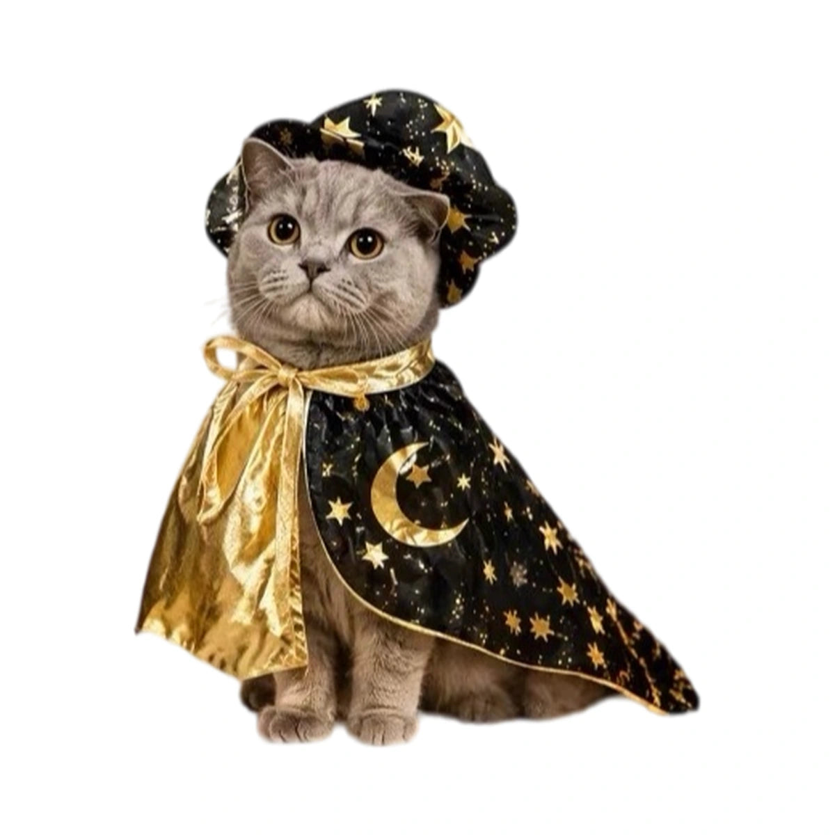金色と黒の魔法使いのマントと帽子を着た灰色の猫