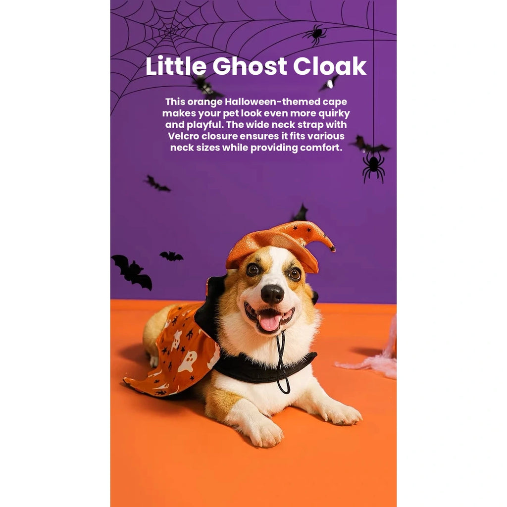 Dog modelling orange Halloween ghost cloak