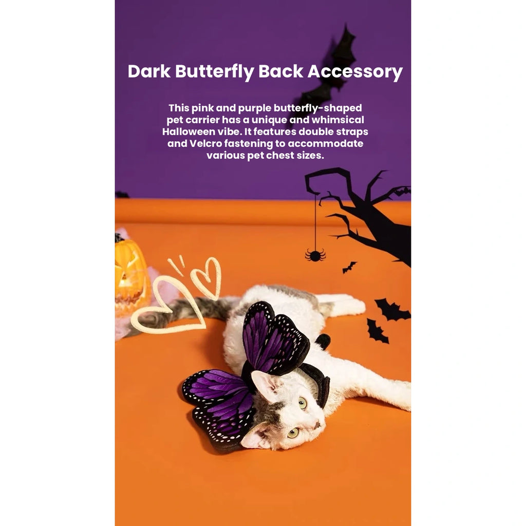 Dog wearing purple butterfly back accessory