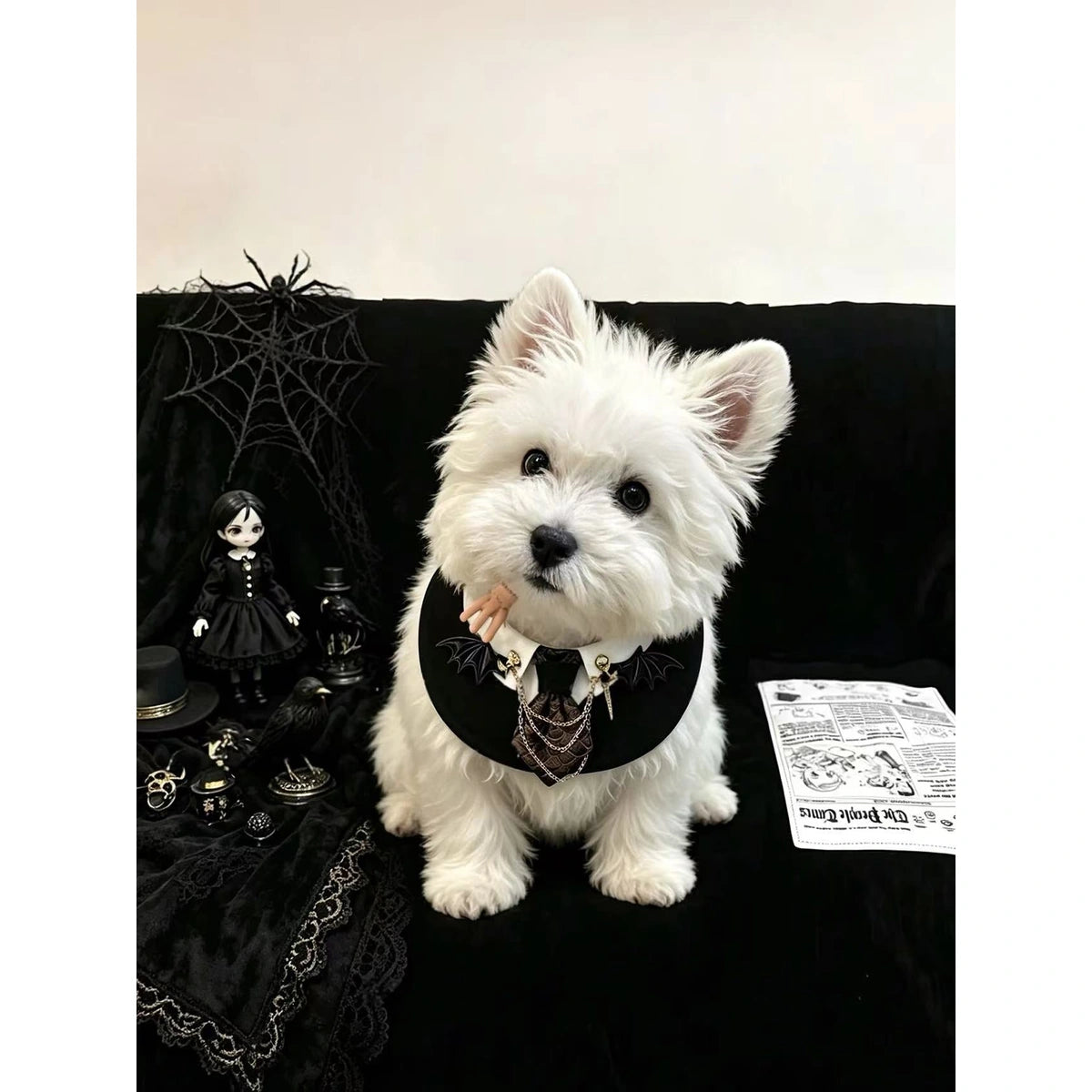 White dog in black Halloween bib beside pumpkins
