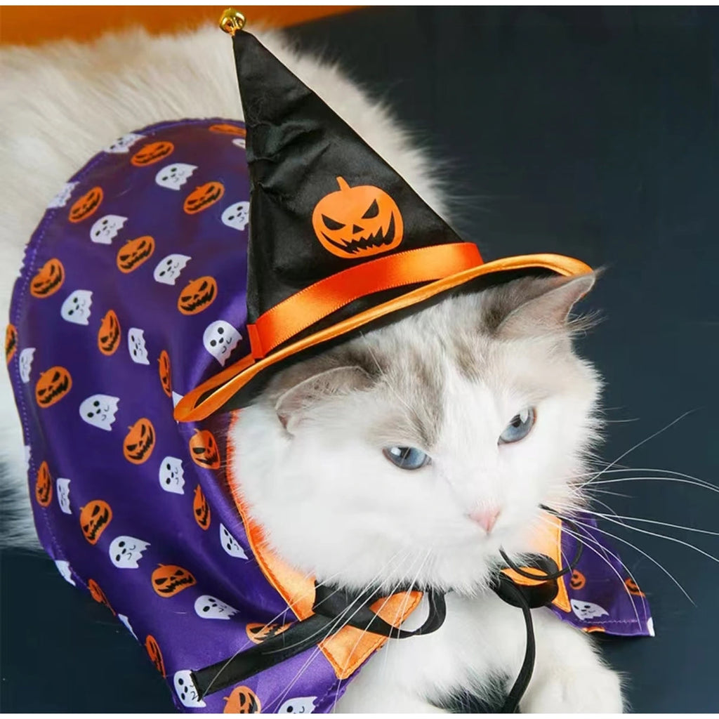 Cat wearing purple witch hat and cape