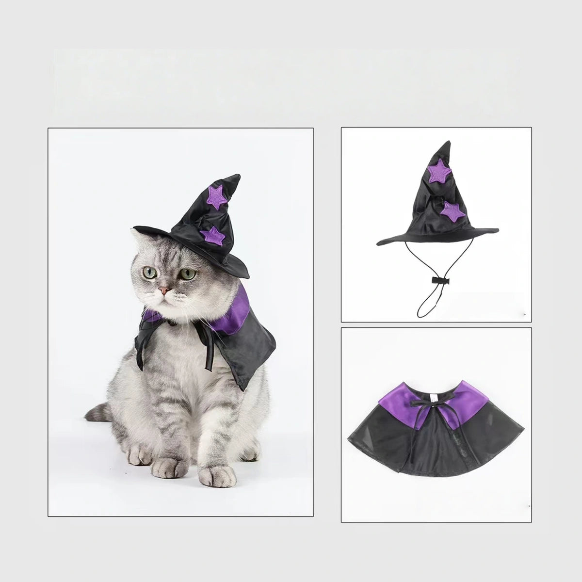 Cat in witch hat with separate costume views
