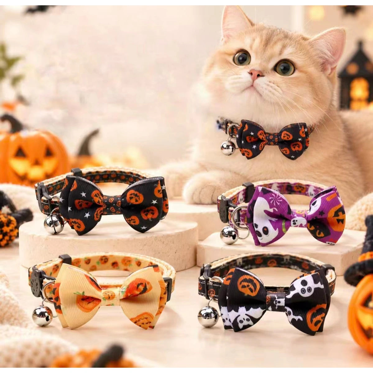 Cat modelling Halloween bow collar with four styles
