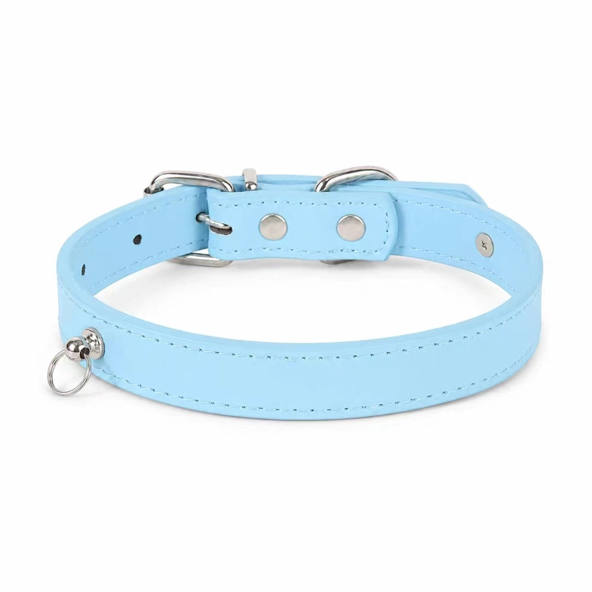 Blue adjustable pet collar laid flat