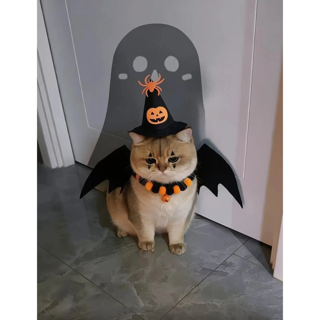 Cat in Halloween bat wings, hat and collar