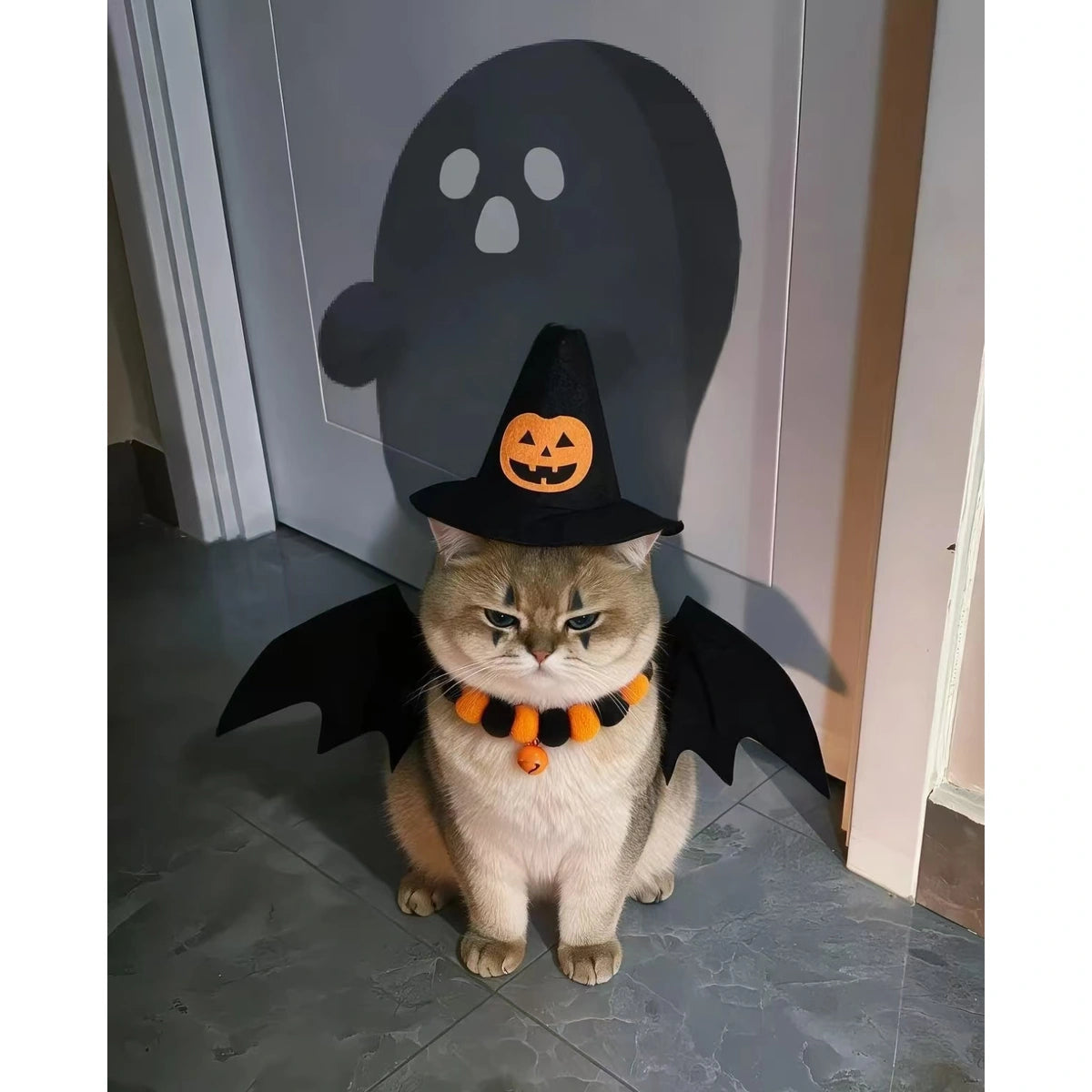 Front view of cat in Halloween bat-wing set
