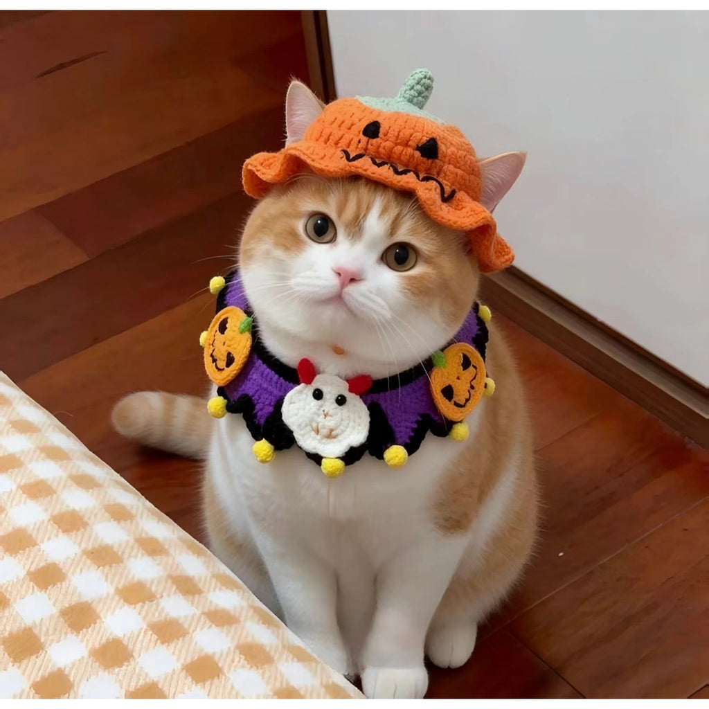 Cat in Halloween knit hat and collar from front