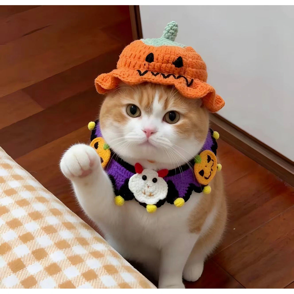 Cat wearing matching knit Halloween hat and scarf