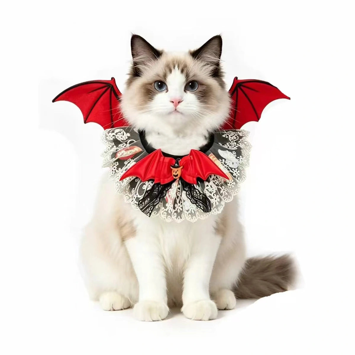 Cat wearing red bat-wing scarf collar