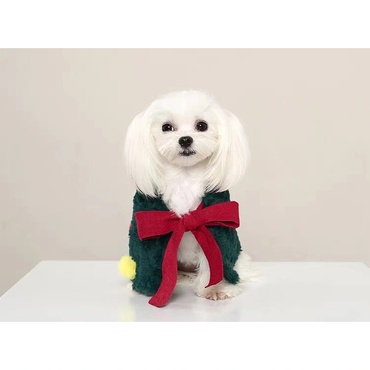 White dog wearing the green UFBemo Christmas-tree cape