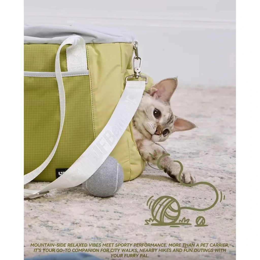 Cat beside the green UF pet carrier bag