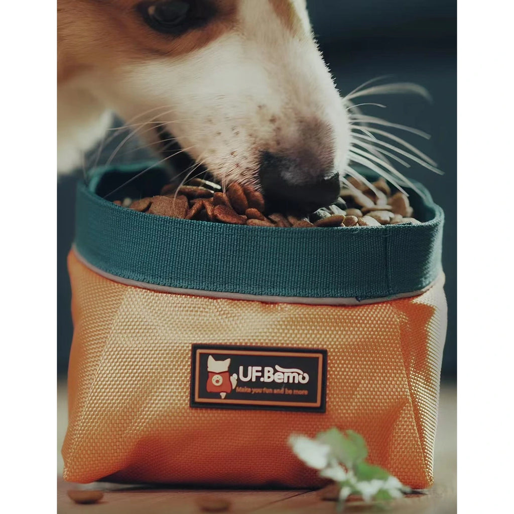 UFBemo 折りたたみ式ペット用トラベルボウル｜3色 写真3：オレンジ・犬・食事の様子・ボウル