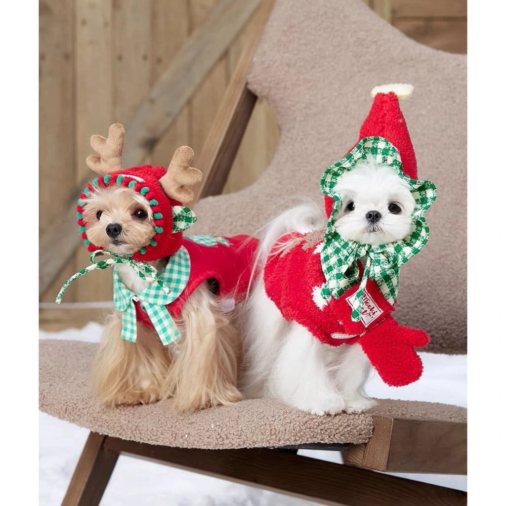 Dogs wearing Mookipet Christmas hats and scarf