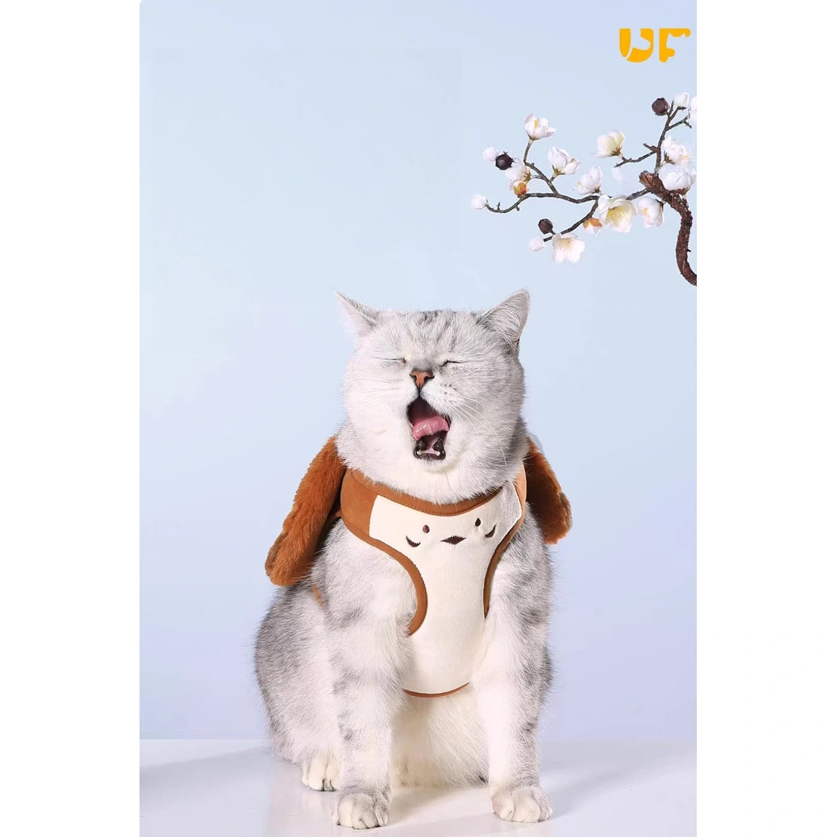 Cat wearing the brown UFBemo harness vest