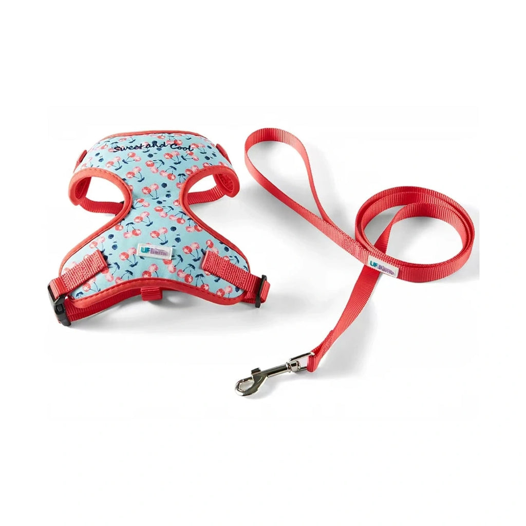 Red patterned UFBemo pet harness and leash laid flat