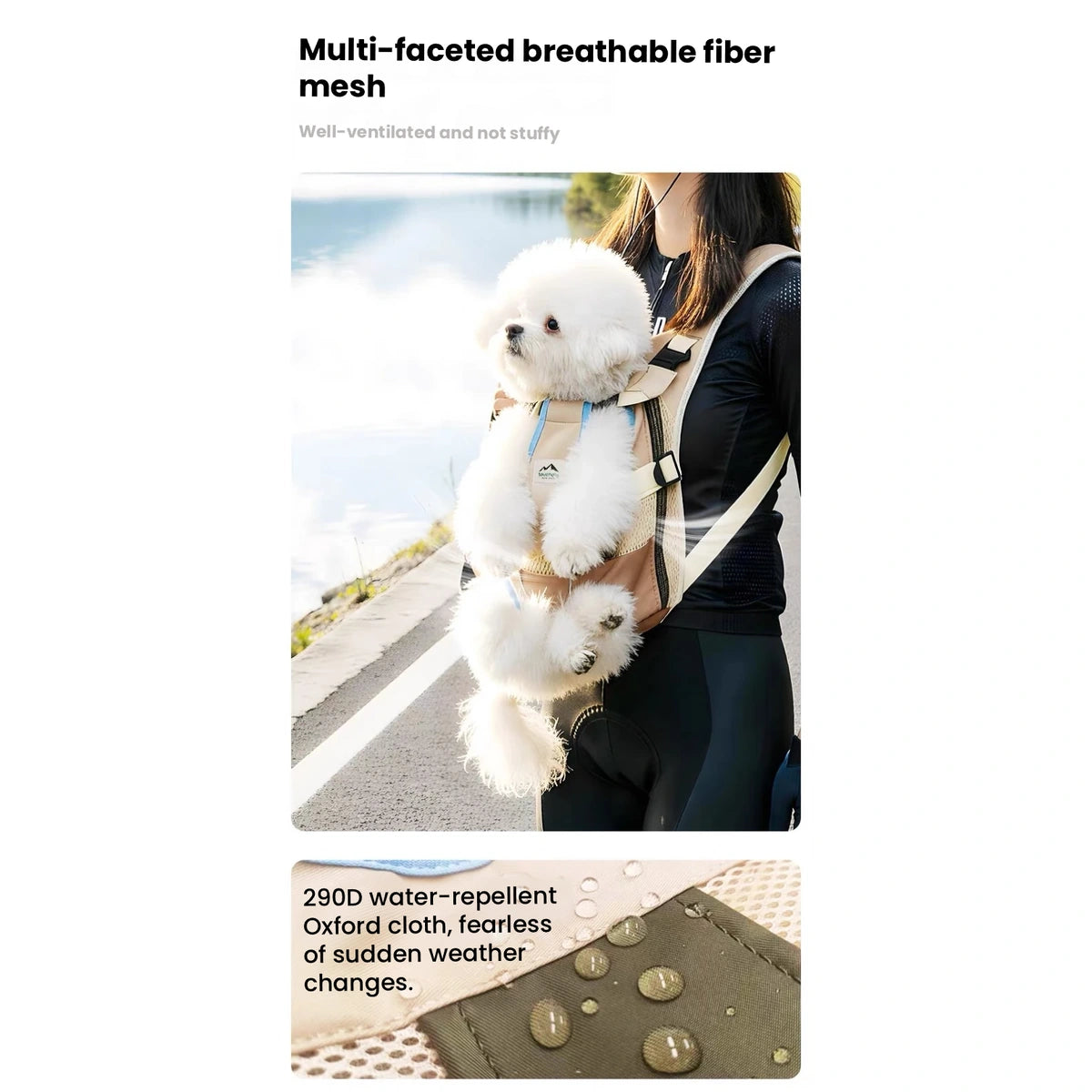 Small dog carried in front backpack with breathable mesh
