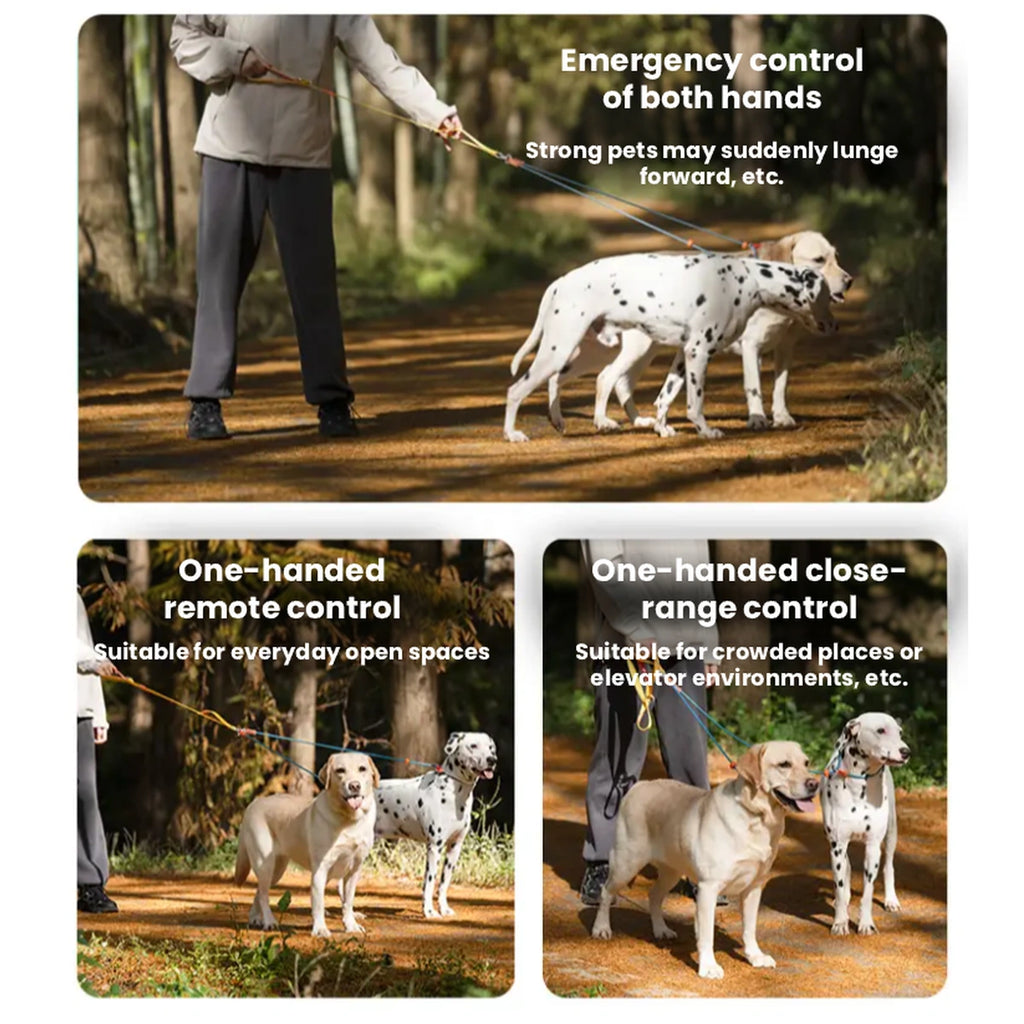 Person walking two dogs on one leash