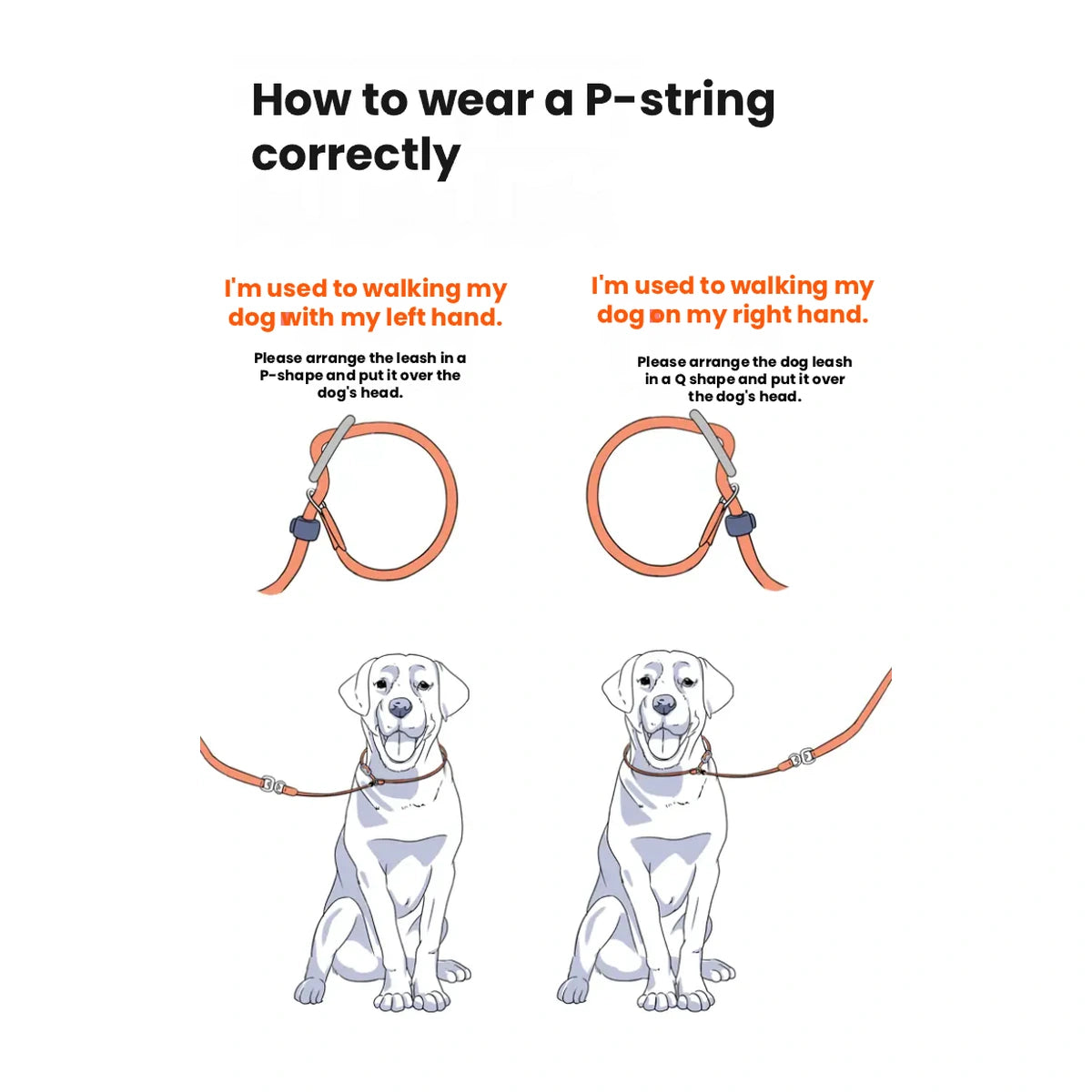 HOWGO slip-loop fitting diagram for two dogs