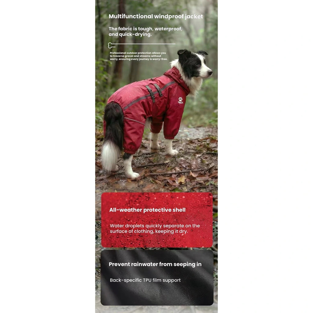 Dog wearing red Mr.shoes raincoat in wet weather