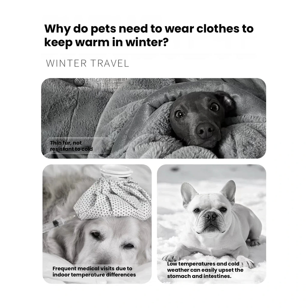 寒い気候のペットに描かれた犬の防寒着