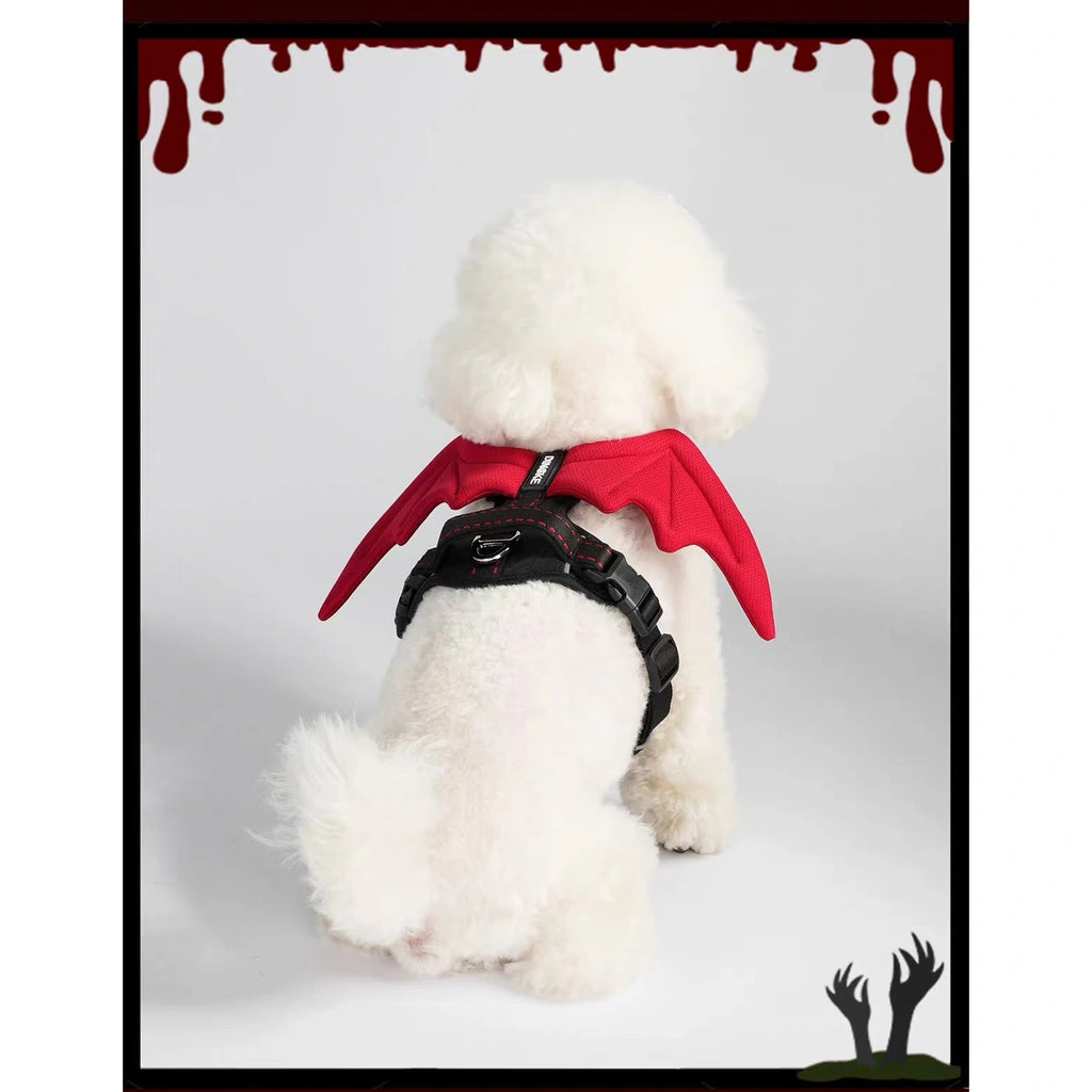 Small dog wearing DINGKE devil-wings harness, rear view