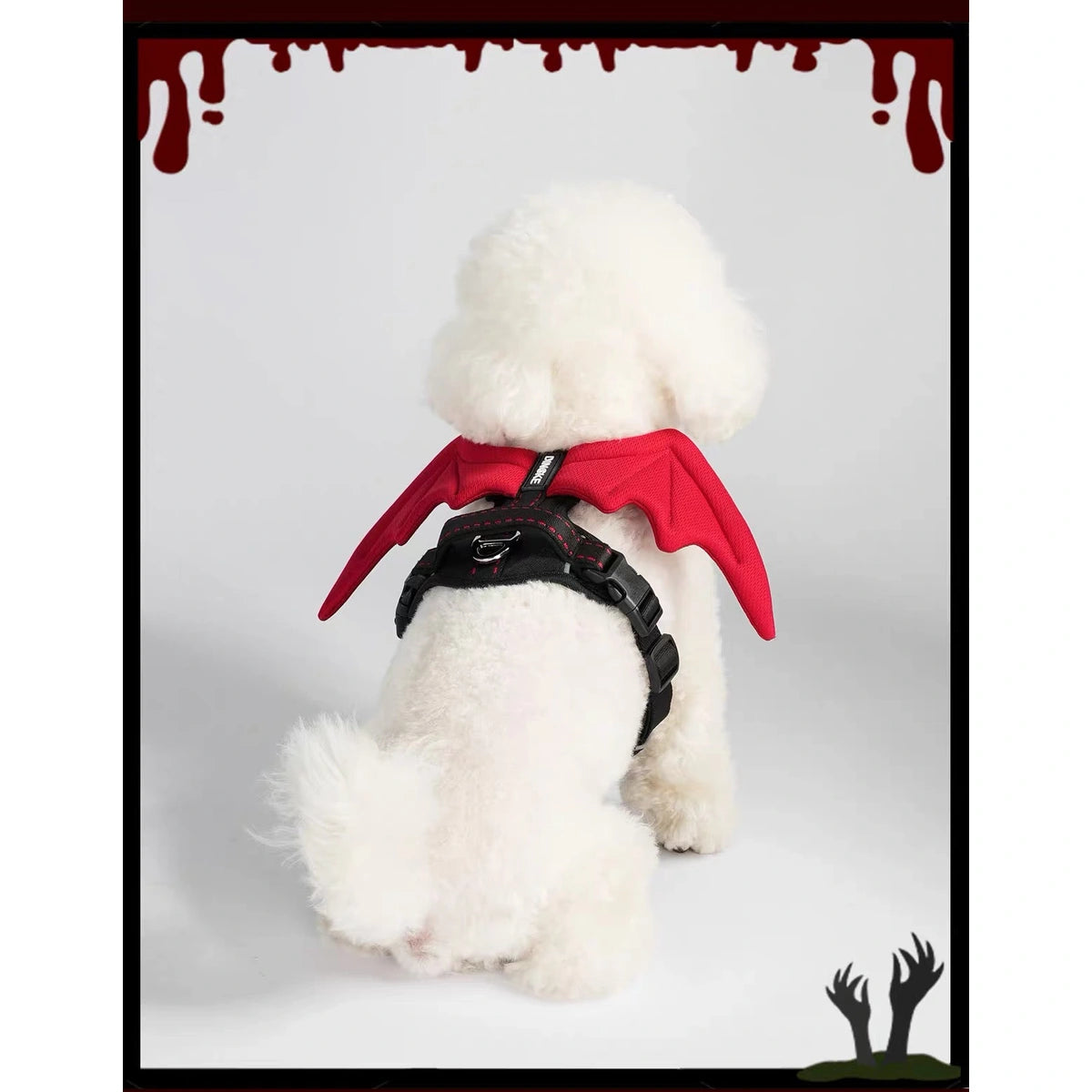 Small dog wearing DINGKE devil-wings harness, rear view
