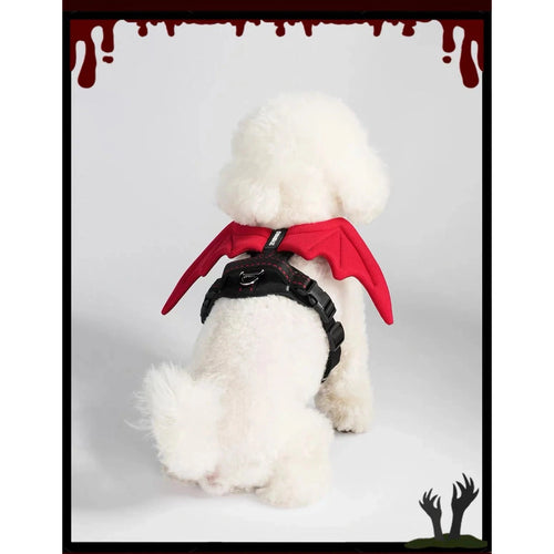 Small dog wearing DINGKE devil-wings harness, rear view