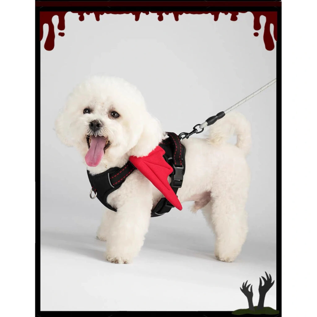 Small dog wearing DINGKE devil-wings harness, side view