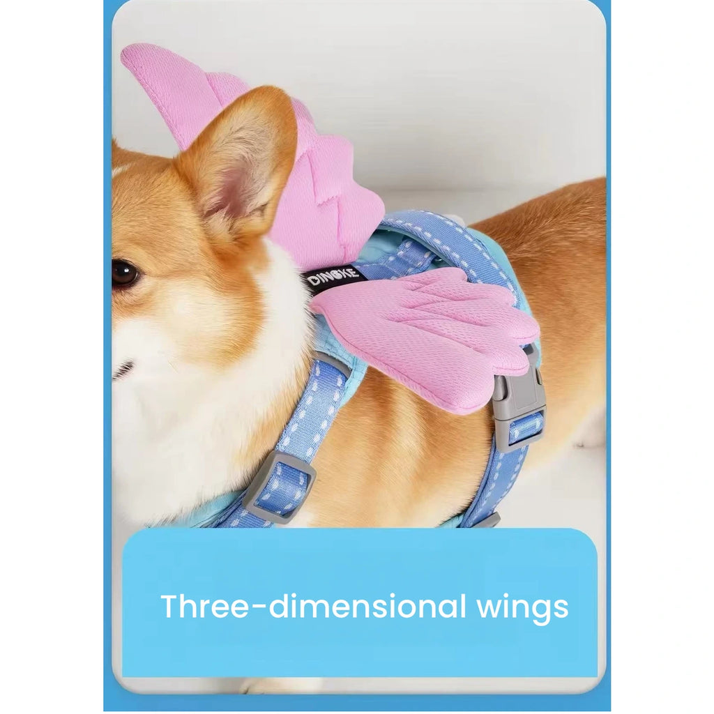 Corgi wearing blue angel-wing harness, side view