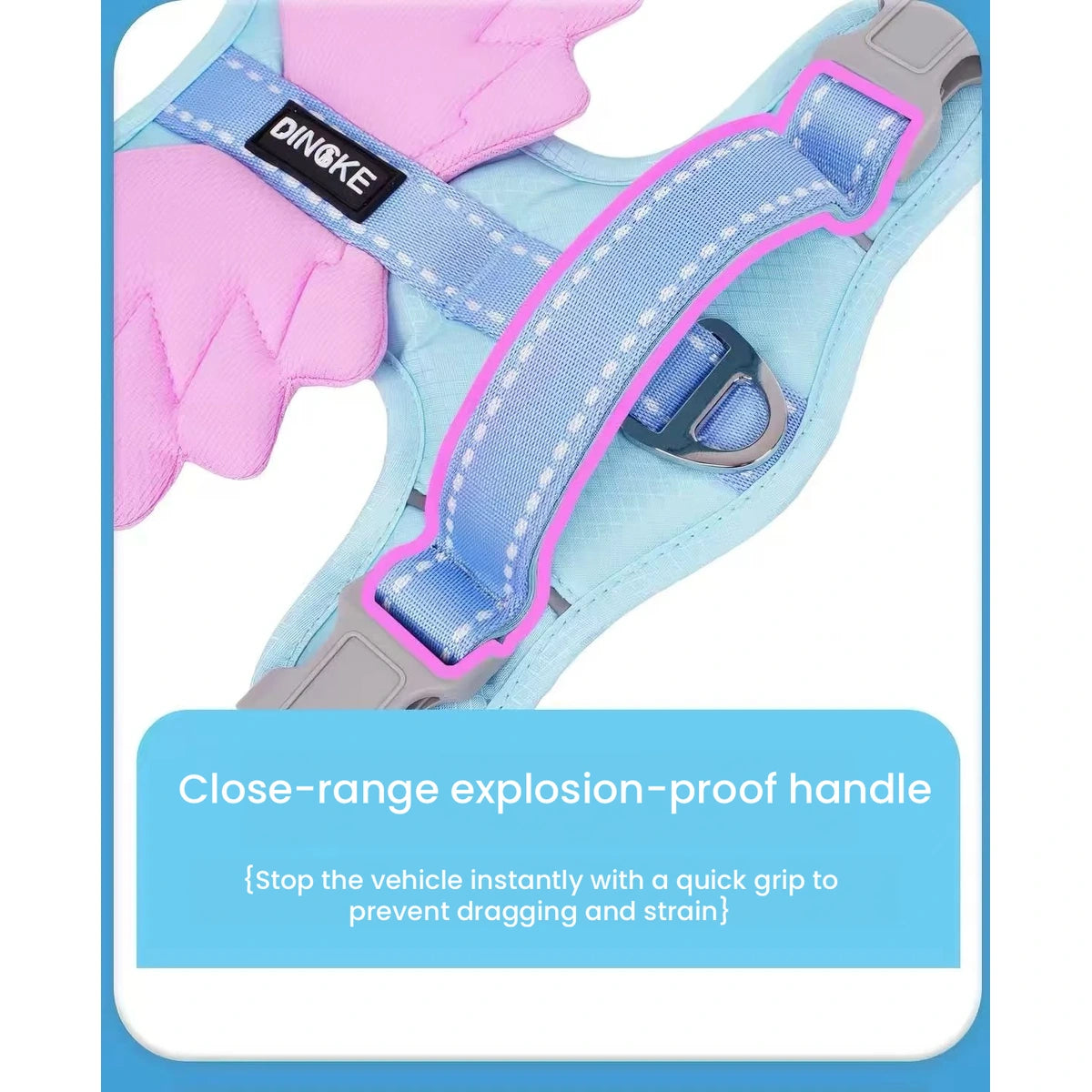 Blue angel-wing harness handle and strap detail