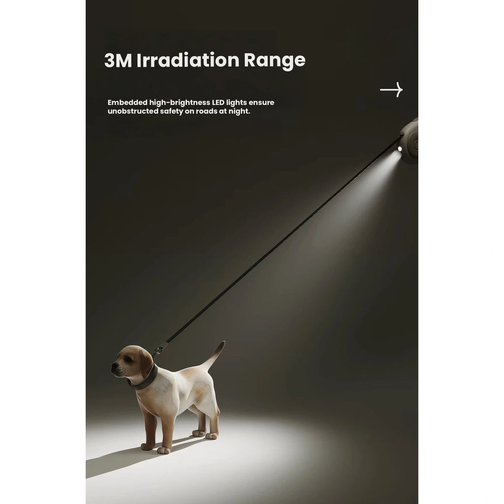 Leash light illuminating a small dog at night